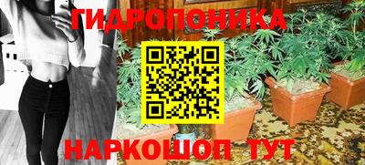 spice Дубна