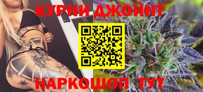 spice Дубна