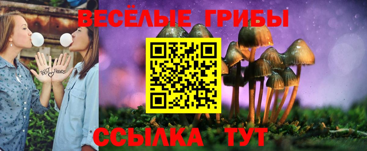 Миллерово  Псилоцибиновые грибы мухоморы  Вход с VPN  Псилоцибиновые грибы мицелий 